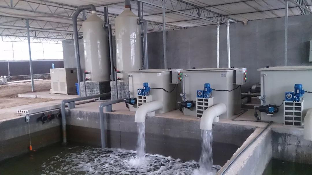 循环水处理